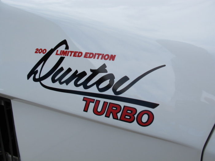 1980 Corvette Duntov Turbo #3