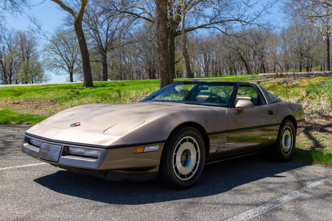 1985 Corvette in Light Bronze / Dark Bronze