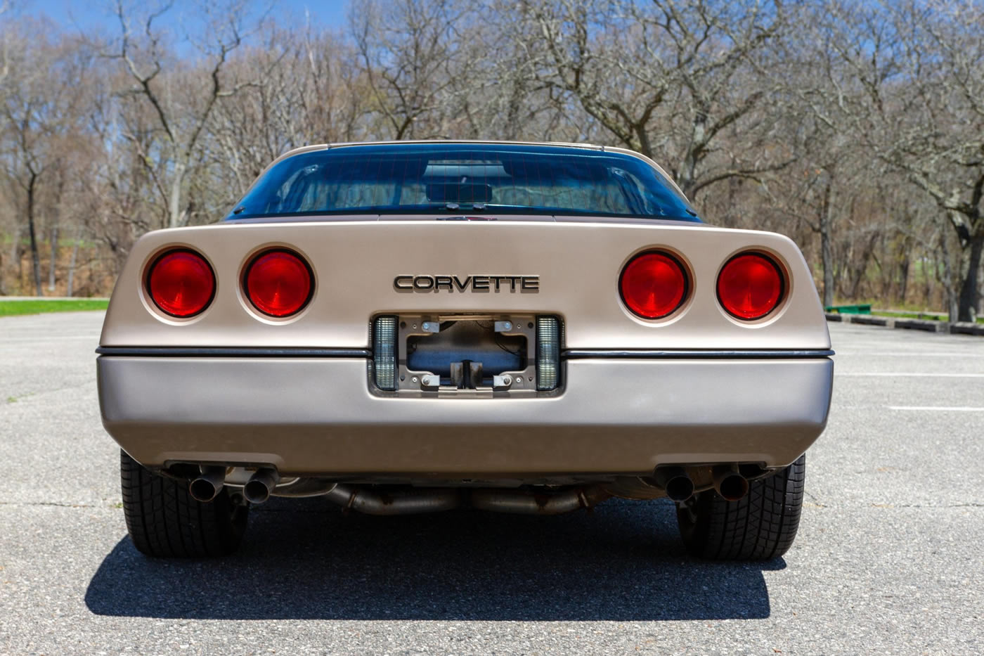 1985 Corvette in Light Bronze / Dark Bronze