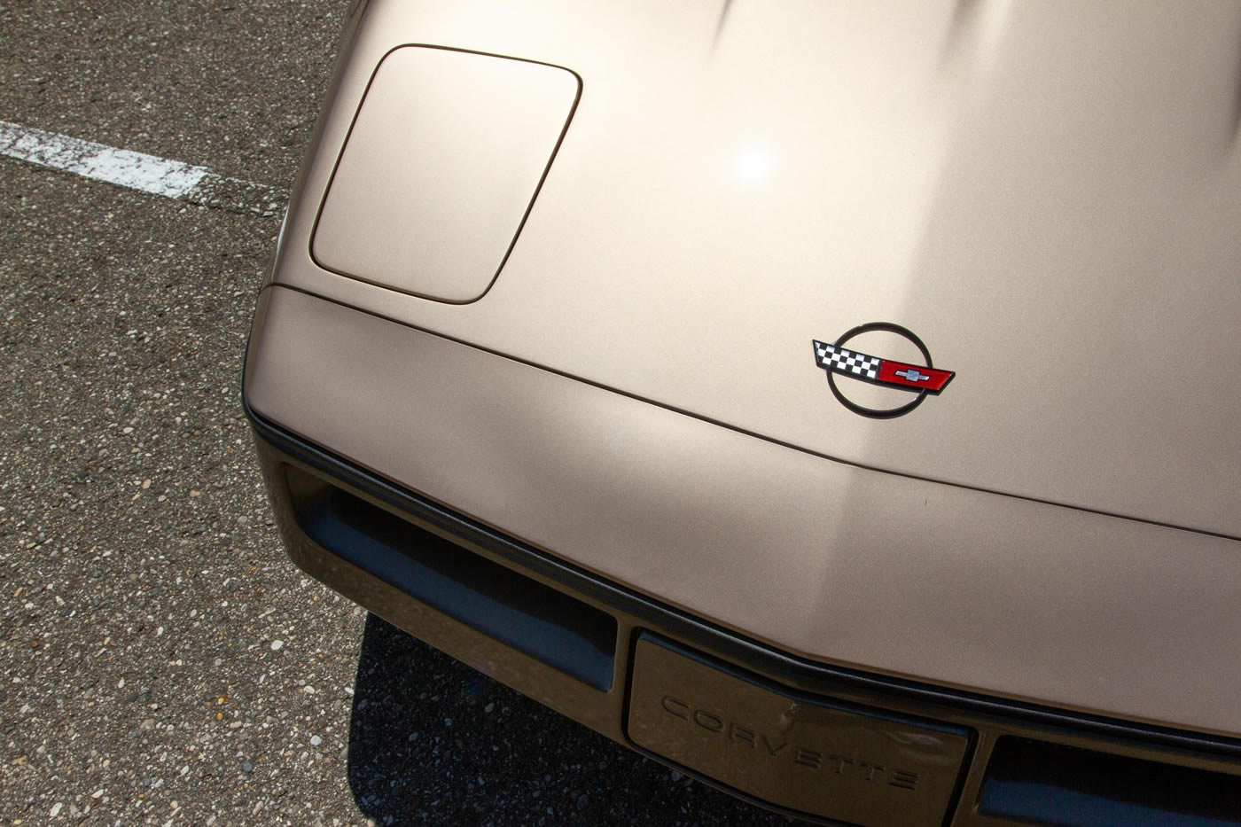 1985 Corvette in Light Bronze / Dark Bronze