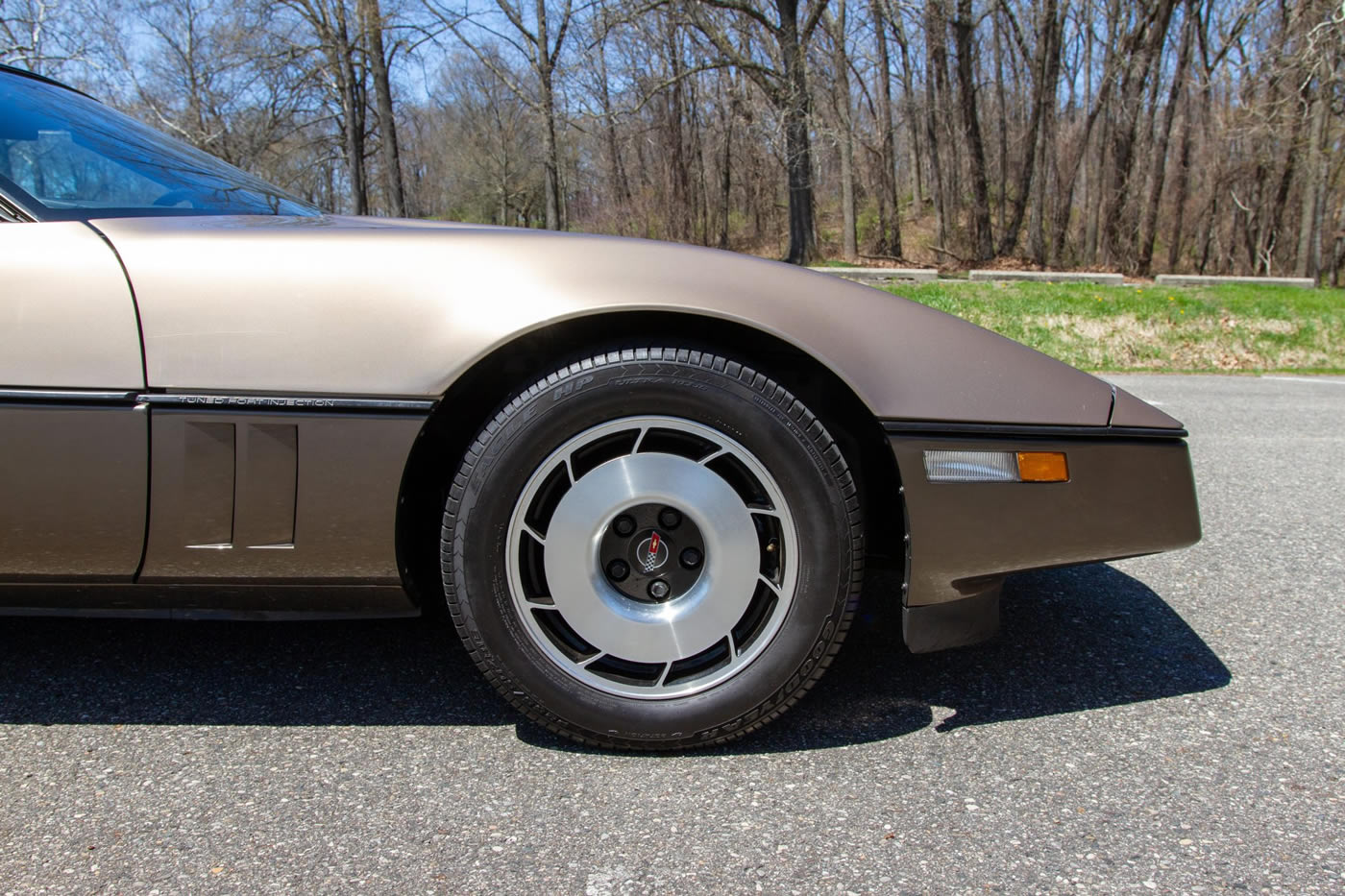 1985 Corvette in Light Bronze / Dark Bronze