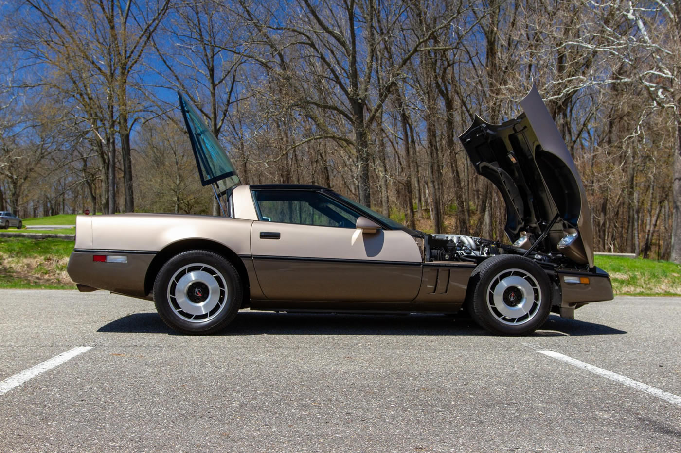 1985 Corvette in Light Bronze / Dark Bronze