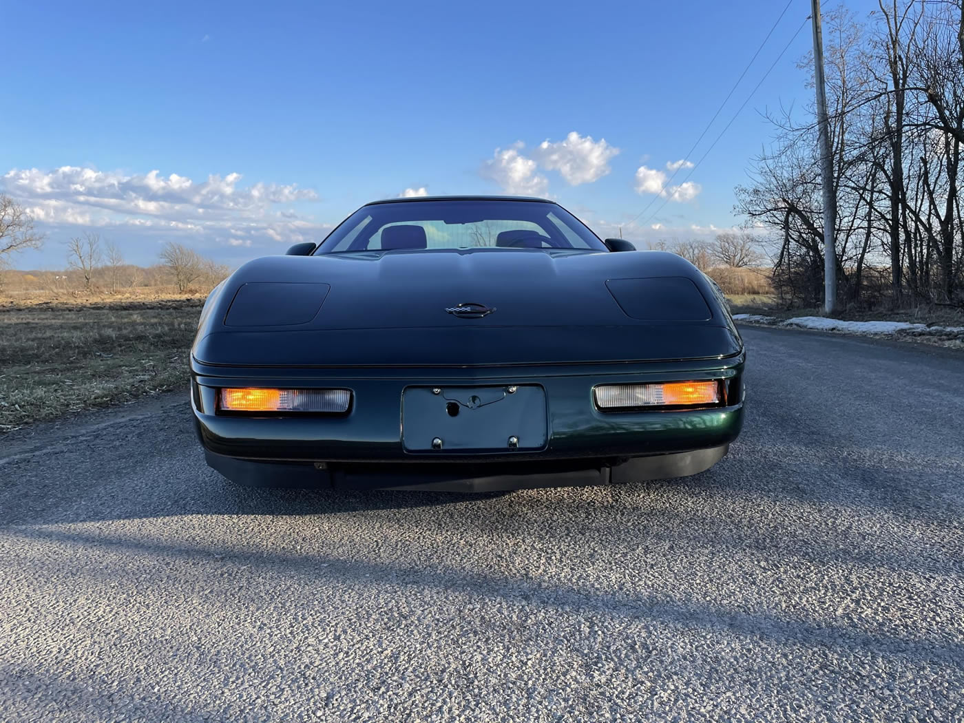 1991 Corvette ZR-1 in Polo Green Metallic