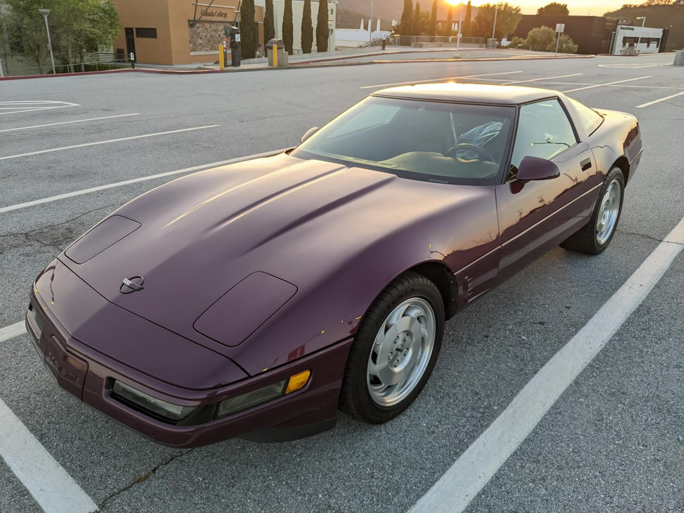 1995 Corvette Coupe in Dark Purple Metallic