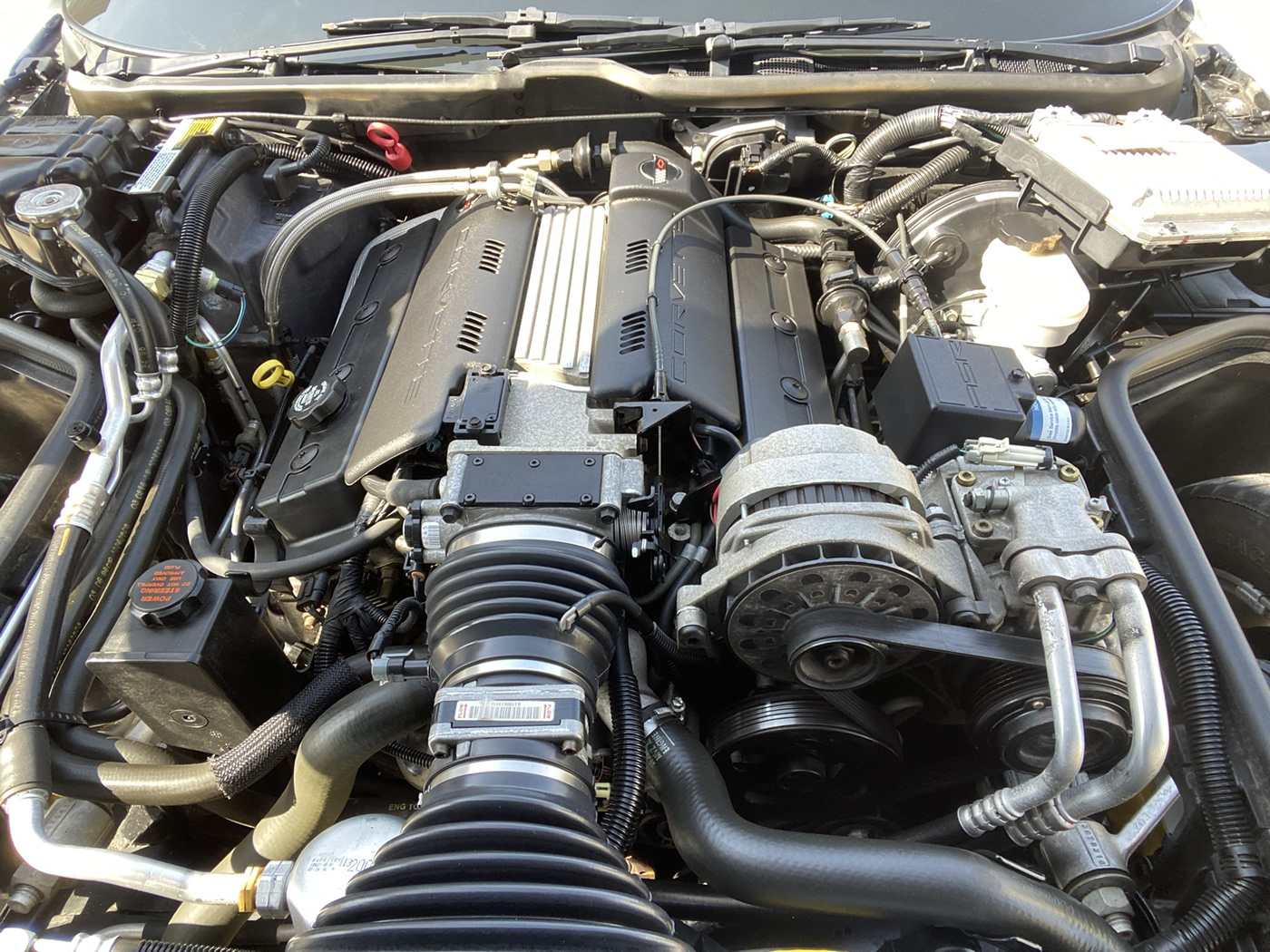 1996 Corvette Coupe in Arctic White