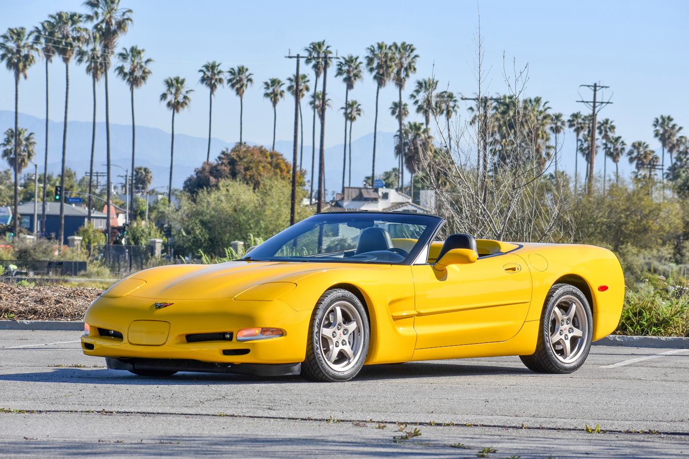 2000 Corvette Convertible in Millennium Yellow