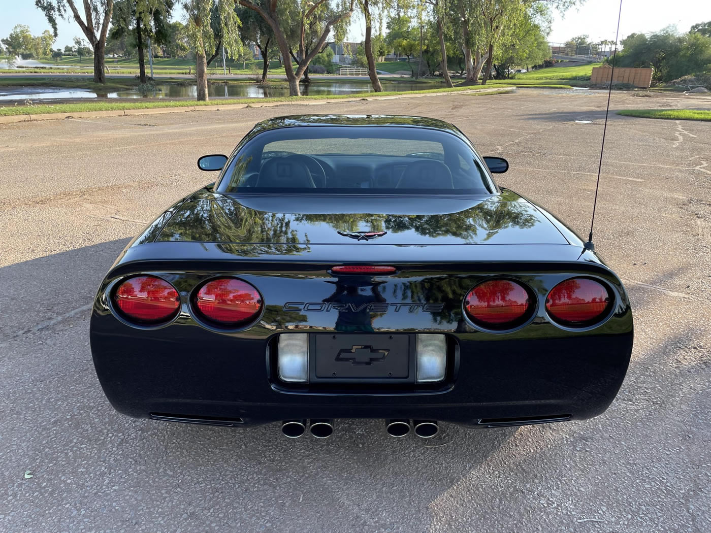 2001 Corvette Z06 in Black