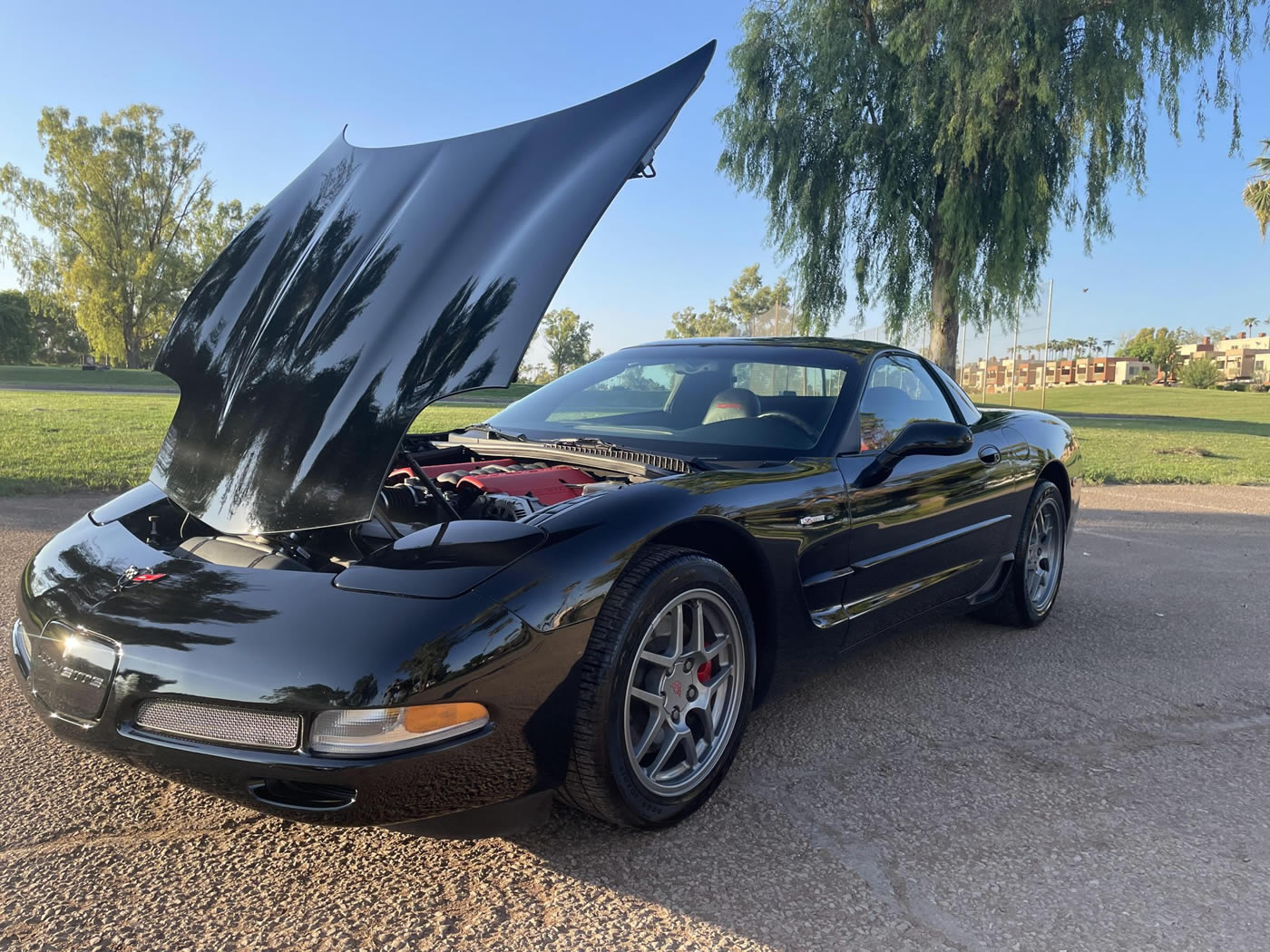 2001 Corvette Z06 in Black