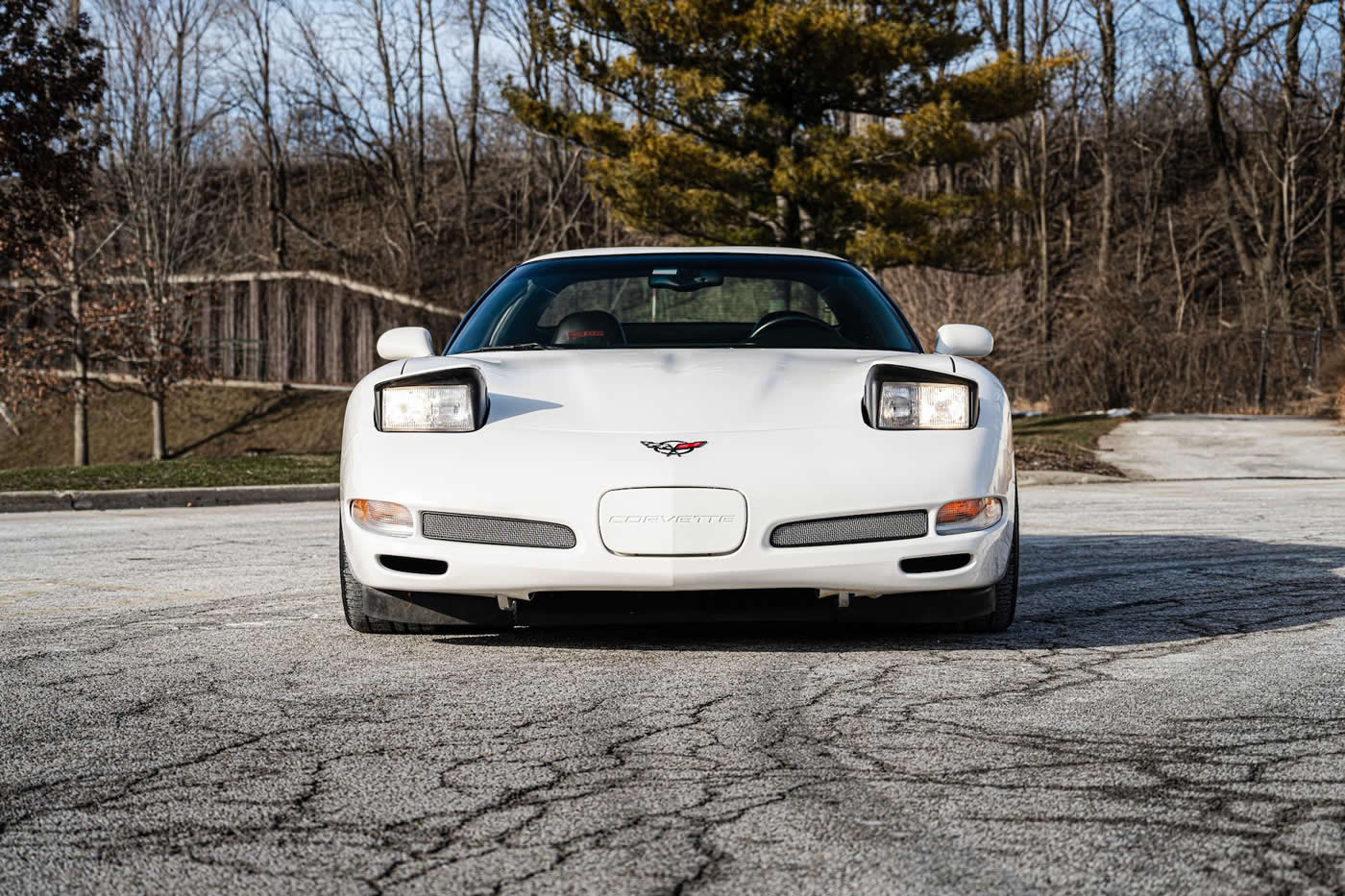 2001 Corvette Z06 in Speedway White