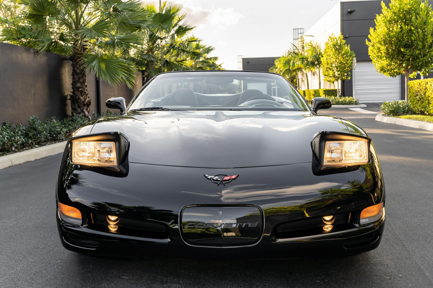 2002 Corvette Convertible in Black