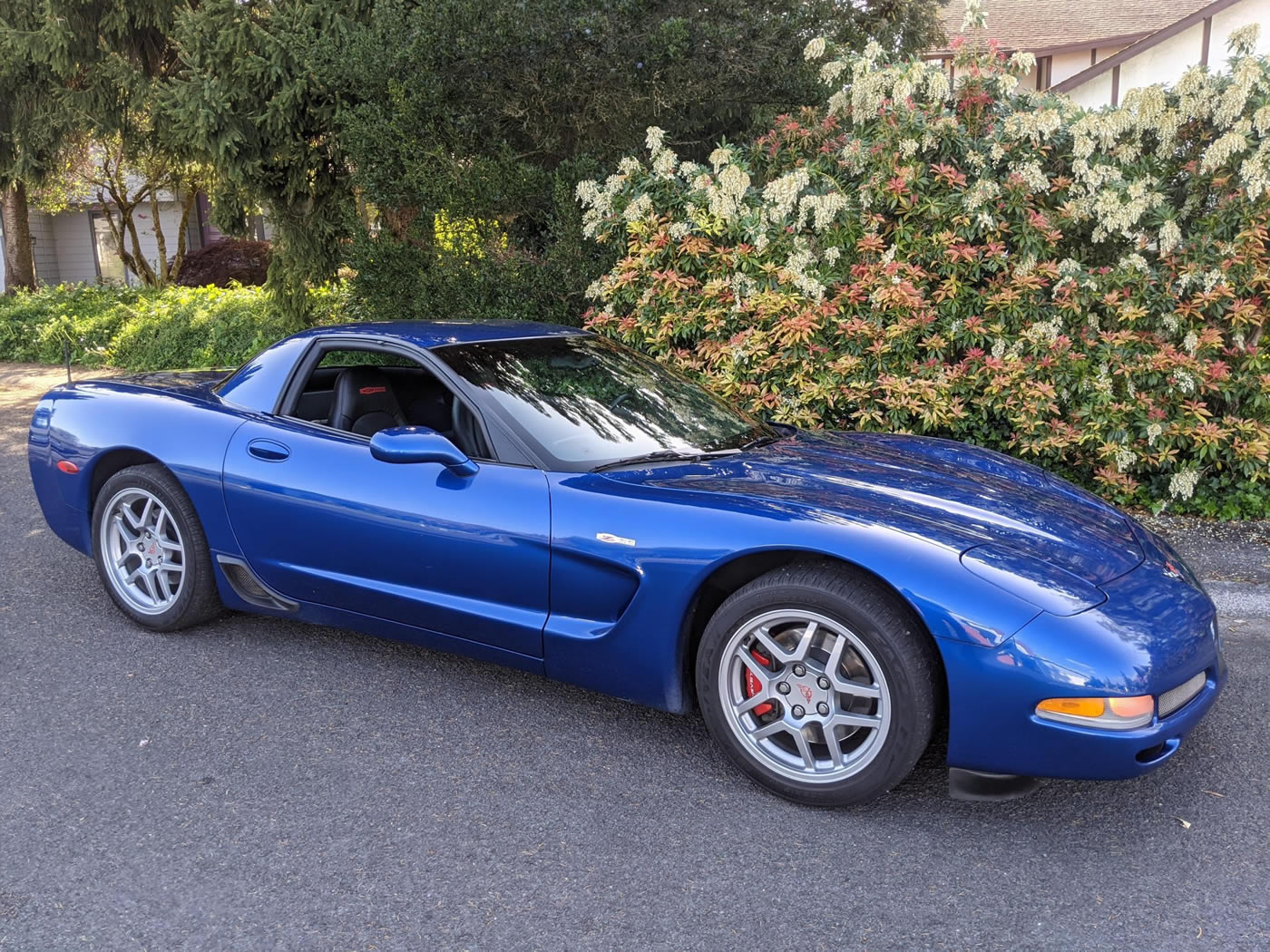 2002 Corvette Z06 in Electron Blue Metallic