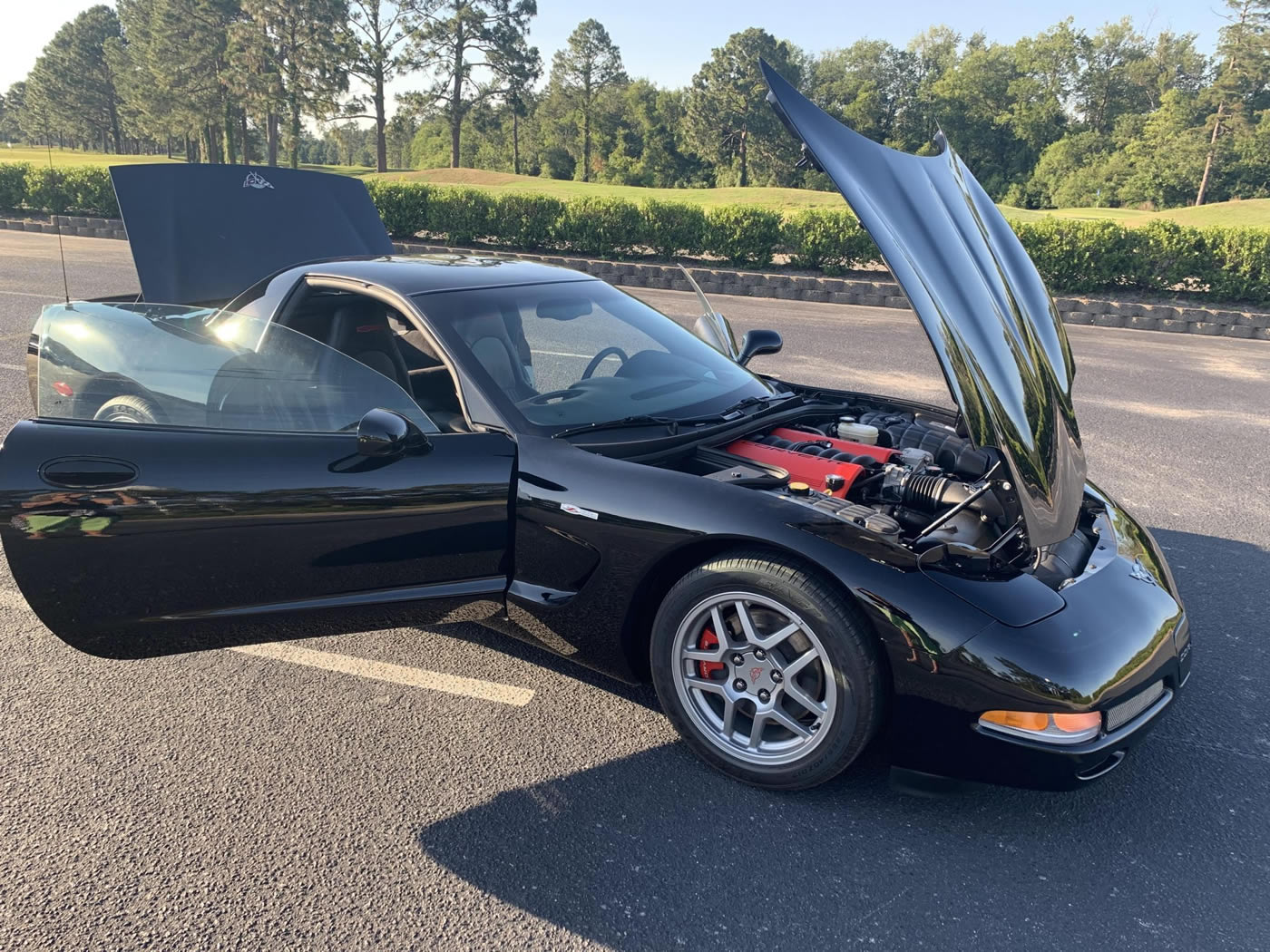 2003 Corvette Z06 in Black