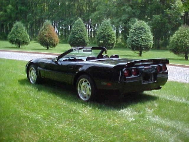 95 vette vert