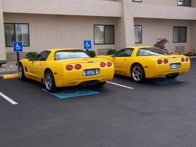 A Yellow Pair