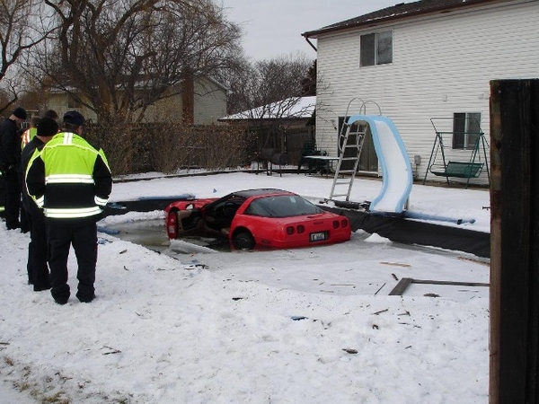 Corvette Swim