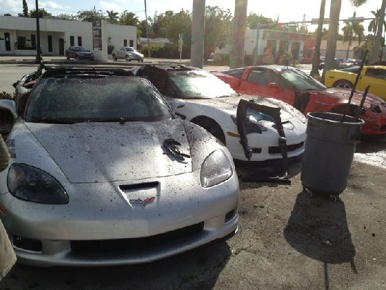 Drunk Driver Totals Row of Corvettes