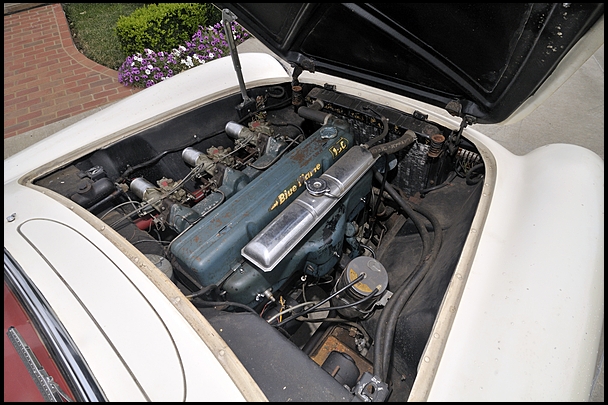 Famous Entombed 1954 Corvette