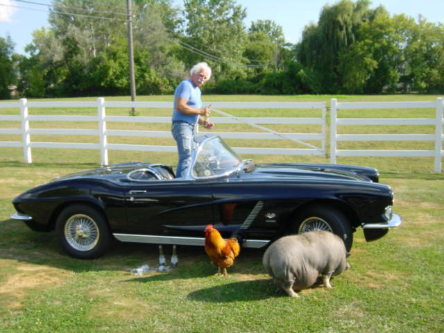 Me, Vette, Pig and Rooster