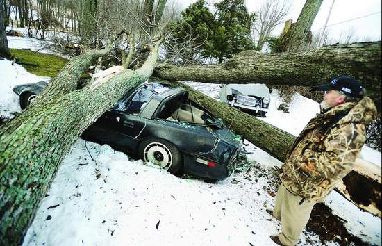 Wind Damaged '84